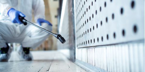 Maßgeschneiderte Sanierung bei Schimmelbefall